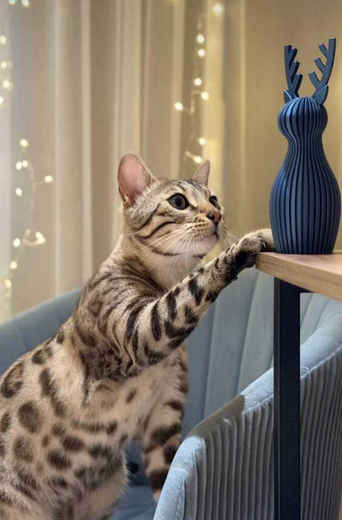 Наши работы